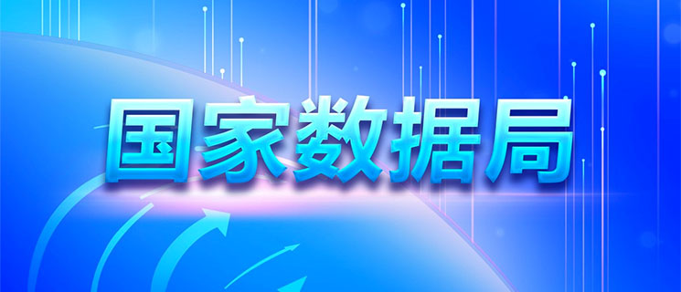 国家数据局：将开展数据标准工作